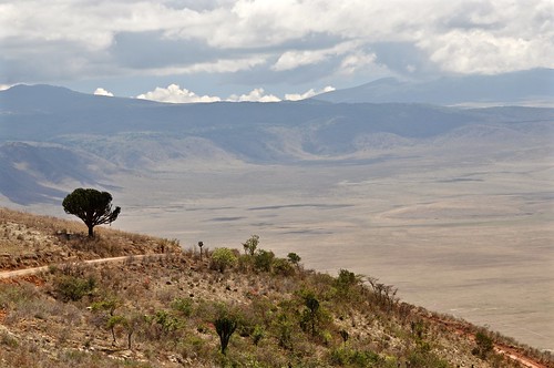 tanzania crater ngorongorocrater view vista tree hills depression geology topography africa eastafrica scene landscape