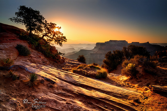 Light and Shadow at Canyonlands