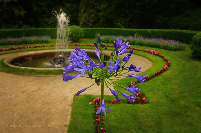 Łańcut - palace gardens