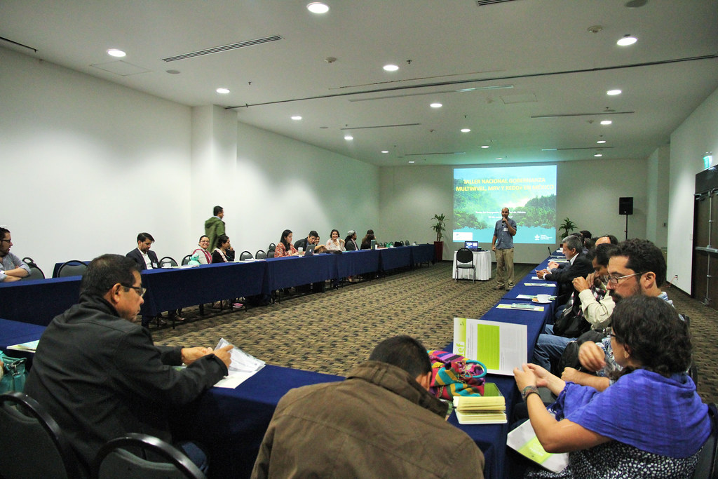 Mexico National Workshop on REDD+ on 25 May, 2017.