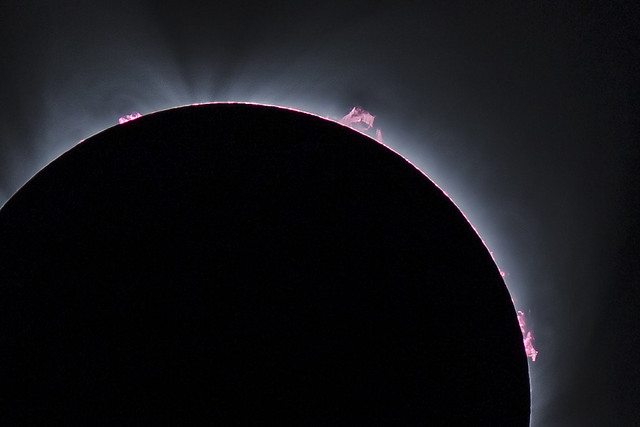 Detail of prominences / solar flares.