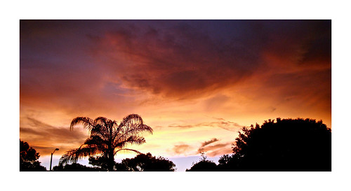 flickr foto photo image capture picture photography sony red orange summer nature cloud clouds outdoor outdoors pretty beauty beautiful vivid color colorful serene dark dusk sky skyscene sunset twilight evening florida sonydscw300 skyporn cloudporn sunsetsky summersunset twilightsky palmtree largoflorida
