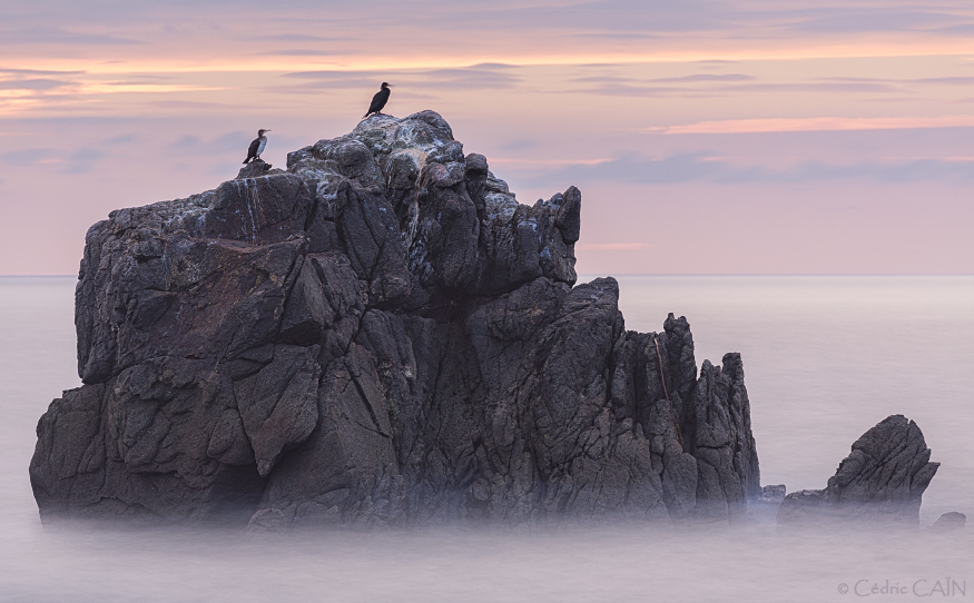 Le rocher des cormorans