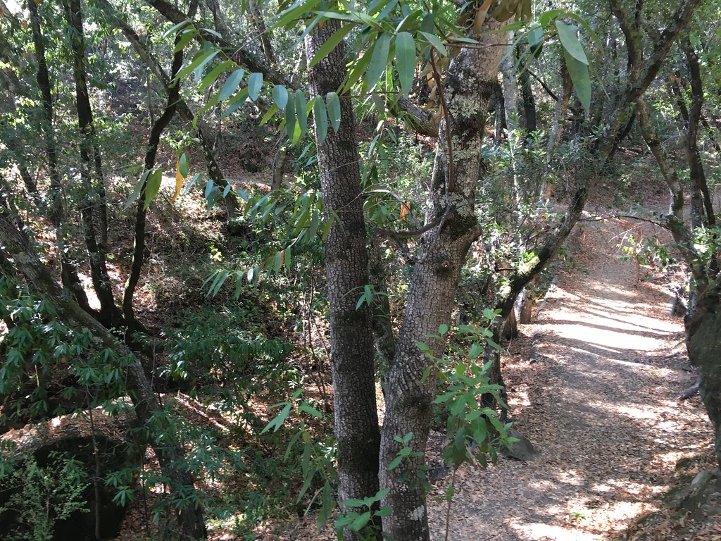 Otis Trail