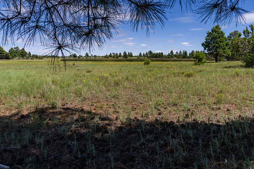Arizona Trail: Anderson Mesa AZT-30 by Coconino NF Photography, Prime Lake wetland on Anderson Mesa.
The Arizona National Scenic Trail Anderson Mesa Passage (AZT-3