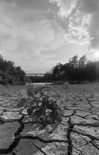 Dryness - Fiume Reno - 35mm film