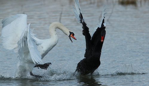 file_5056x2925_055212 | by mikeculley591