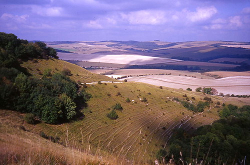 Ridge View 2 