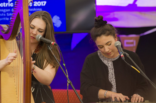 MindField at Electric Picnic 2017