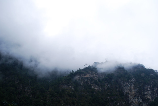 The Swiss Alps in fog