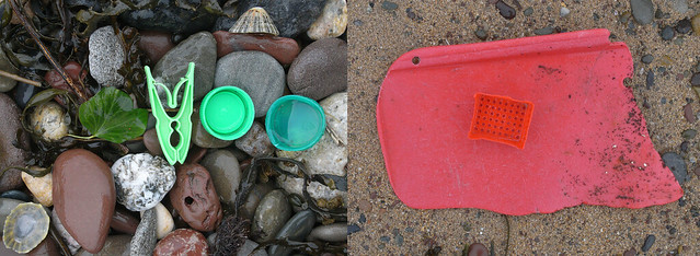 freshwater west green red