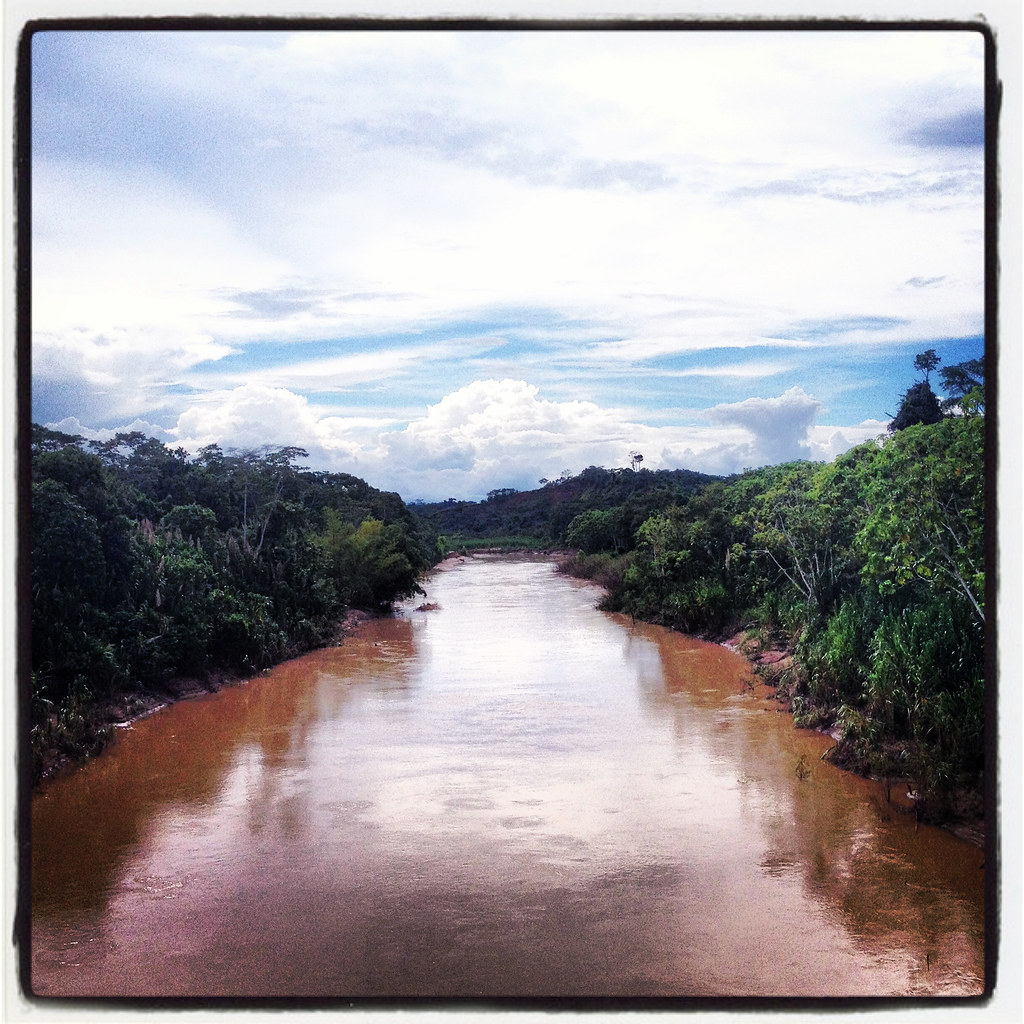 The Acre river, 400 miles long, starts in Peru and runs north-eastward, forming part of the border of Bolivia and...
