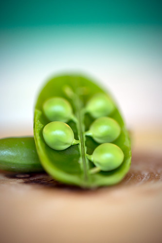 Peas in a pod | by lynne186