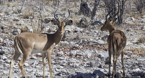 file_4658x2516_081870 | by mikeculley591