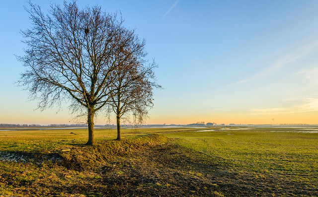 Wide Dutch polder landscape in autumn
