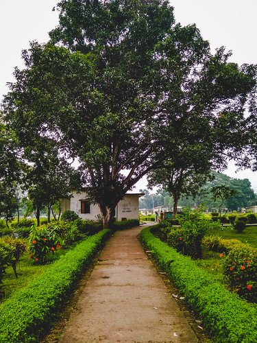 rangpur rangpurdivision bangladesh bd nature green tree beautiful xiaomi redmi