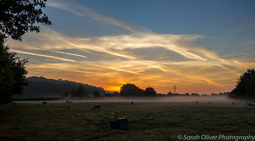 6d canon clouds constable countryside early england field flatford iphoto john kingdom landscape low mill mist morning national nature outdoors sheep suffolk sunrise trees trust uk united
