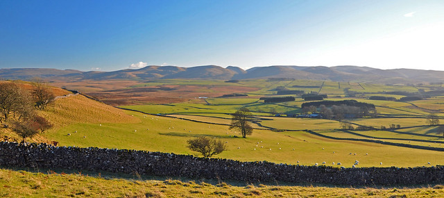 Howgills from Great Asby Scar