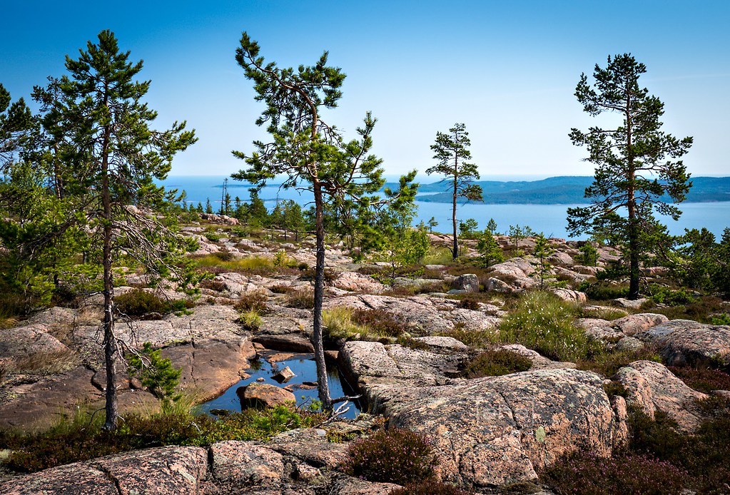 The High Coast Trail - Höga Kusten -Skuleskogen National P… Flickr