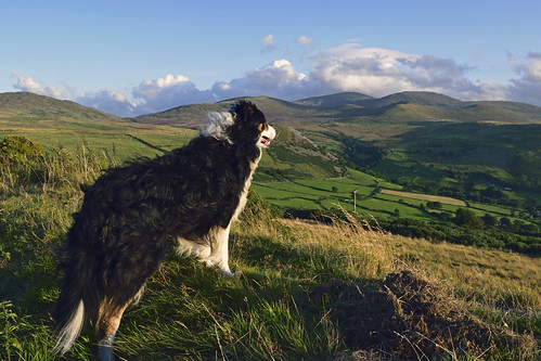 A View To A Hill | by Mike & Indy