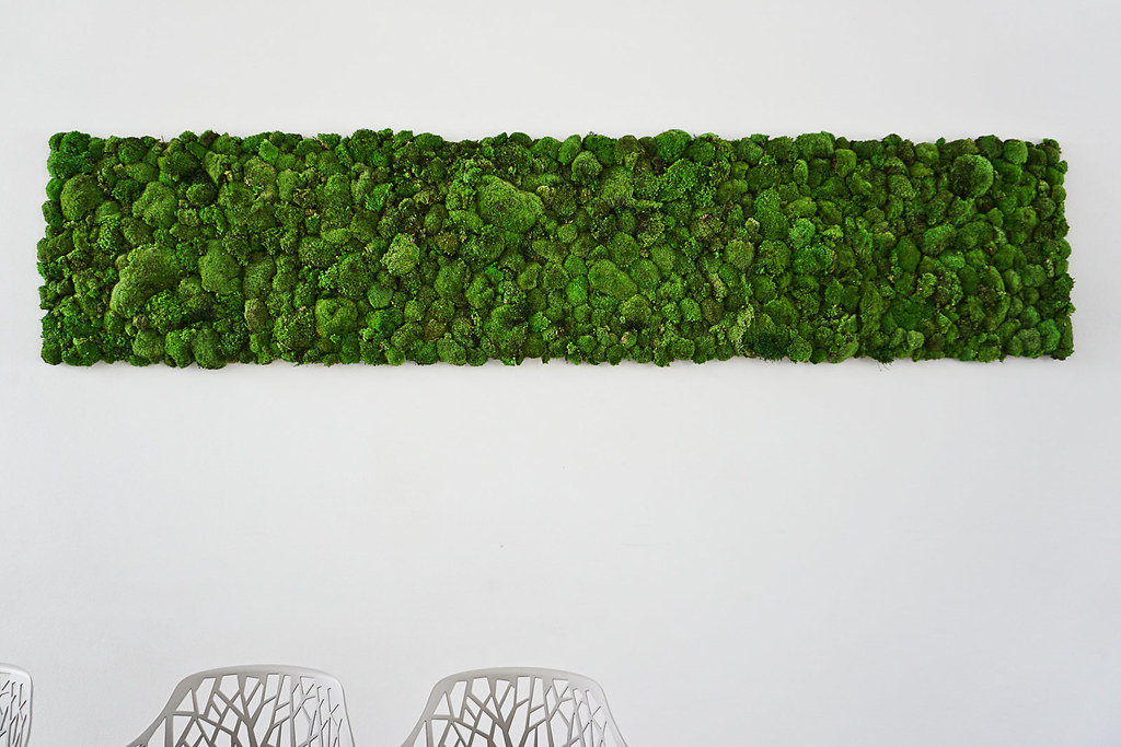Moss Wall Hanging