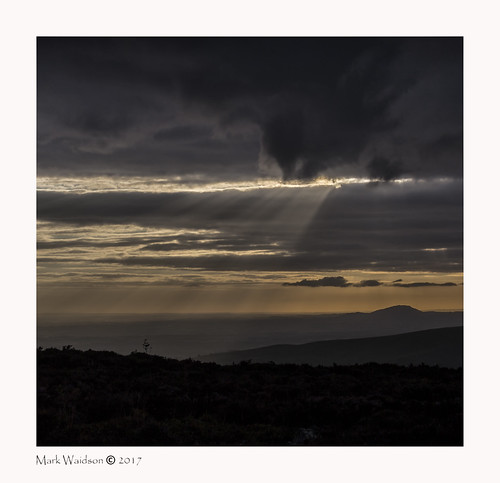 In the spotlight | by MarkWaidson