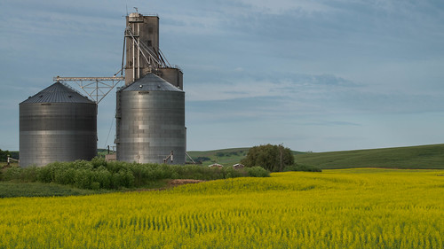 landscape yellow silo field dayton washington unitedstates us