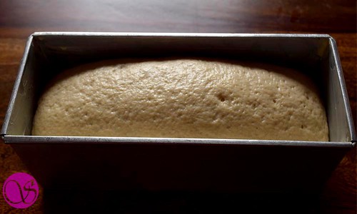 Honey Buttermilk Bread dough rise