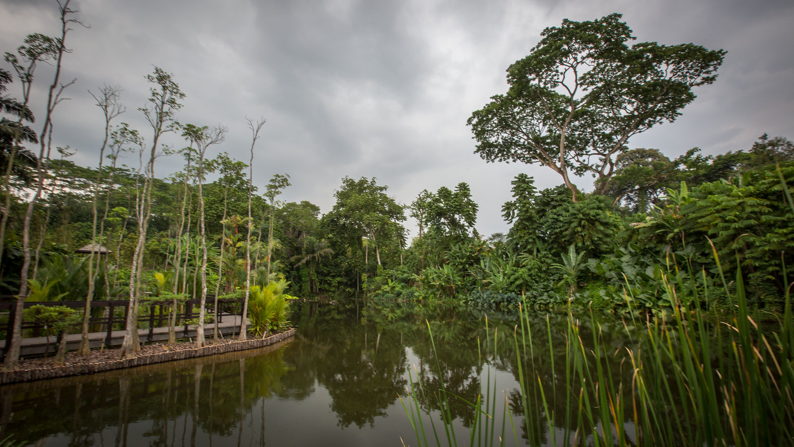 Singapore Central * Botanic Gardens 03 Learning Forest | Flickr