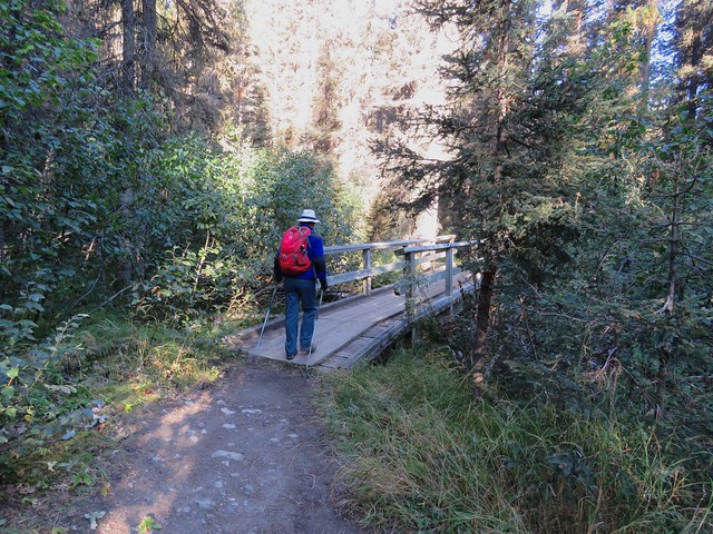 Taylor Lake / Panorama Ridge Larch Hike -  Larry on the first of two bridges on the trail to Taylor Lake