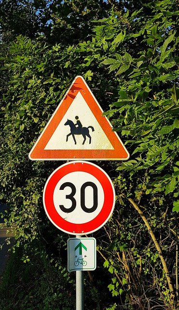 Schnell reitende Pferde und Radfahrer auf der Straße?