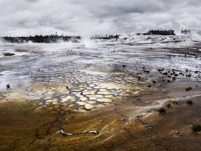 Yellowstone National Park, United States Of America