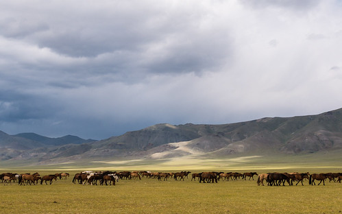 kazakpeople mongolia ulaangom uvsprovince uvs mongolië mn