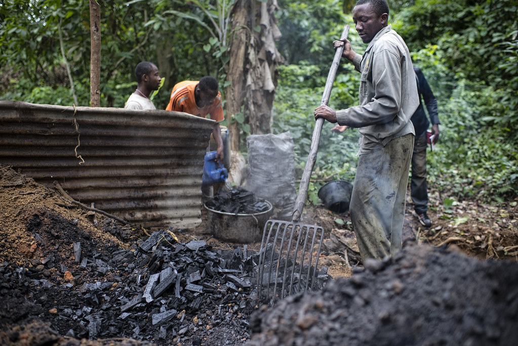 Cyprien Mvondo (right) charcoal burner and his assistant cooling the charcoal in a forest near Ovangoul village, Center Region, Cameroon.