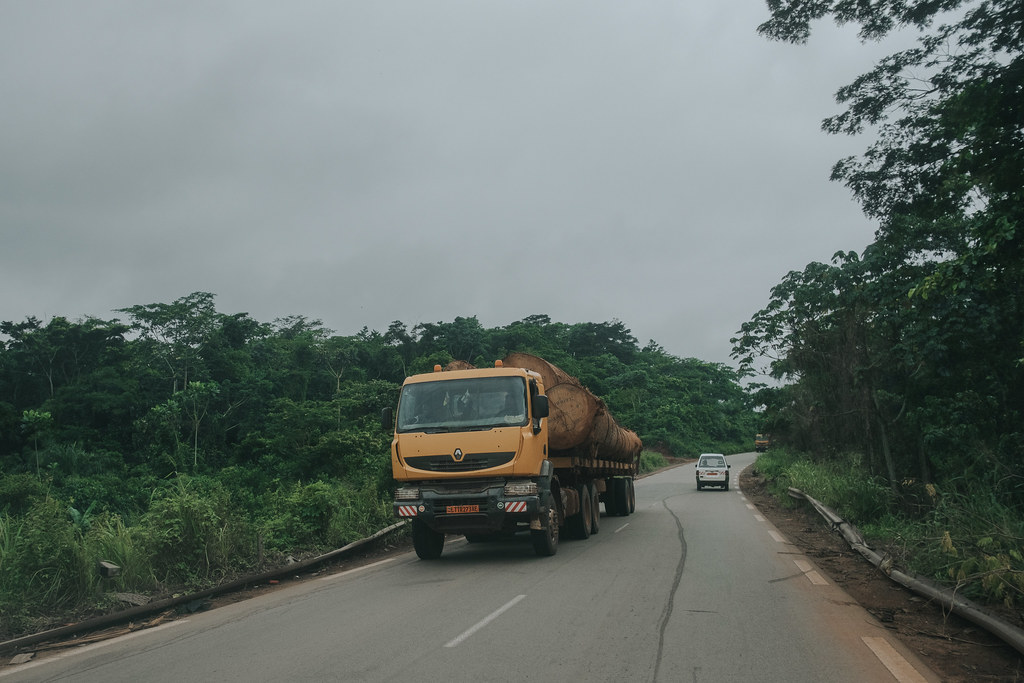 On the road, transport of wood towards Yaounde. Wood intended for refineries.