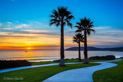 california pacificocean shellbeach ocean palmtrees palms sunset getty gettyimages mimiditchie mimiditchiephotography