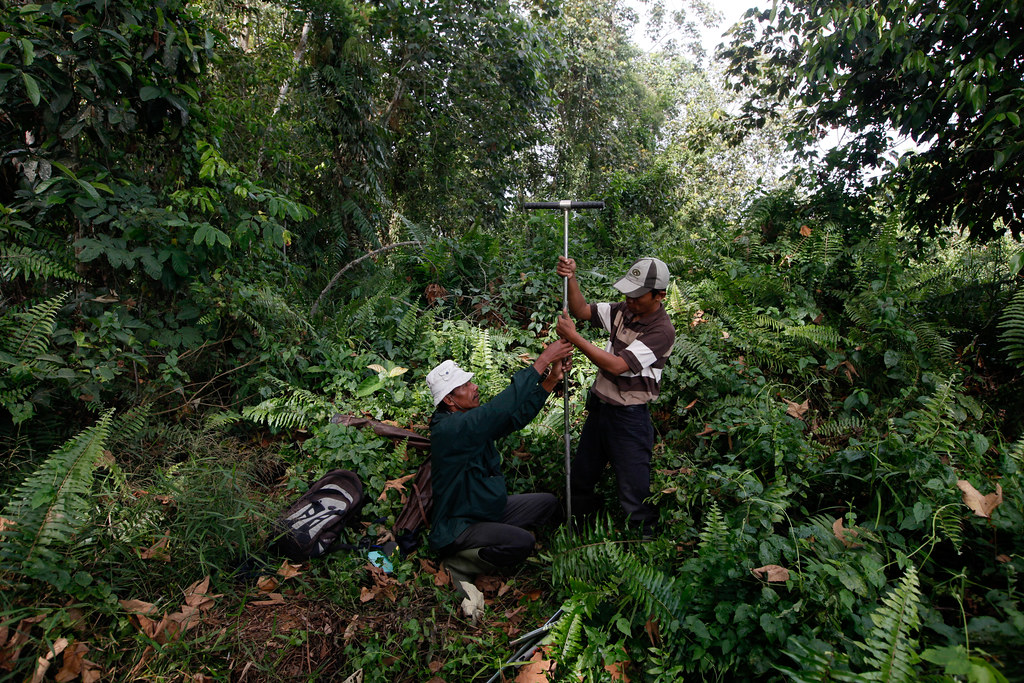 Indrianto, right, and Suratman of Yayasan Ekosistem Lestari (YEL) operate a tool to measure the depth of the peat at...