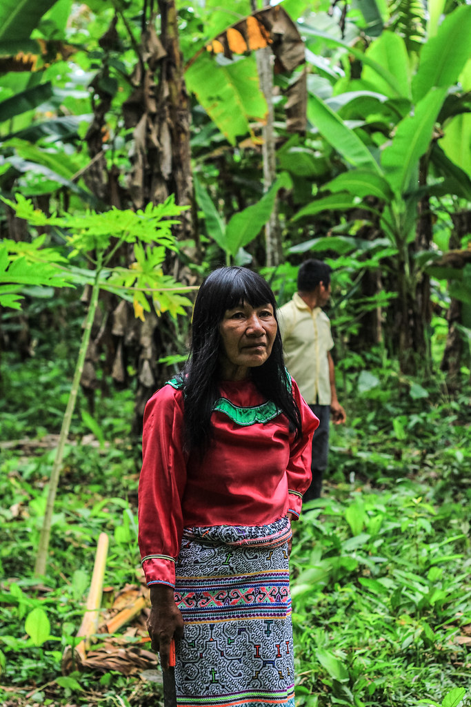 Micaela Fachin, small agroforestry producer from Roya community.