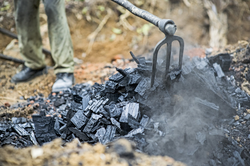 Charcoal is wood after being burned without oxygen. Made in a forest near the Ovangoul village, Center Region, Cameroon.
