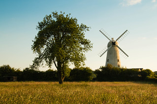 The windmill and the tree