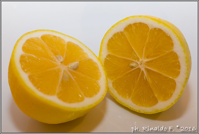 meyer.lemon2@citrus.it