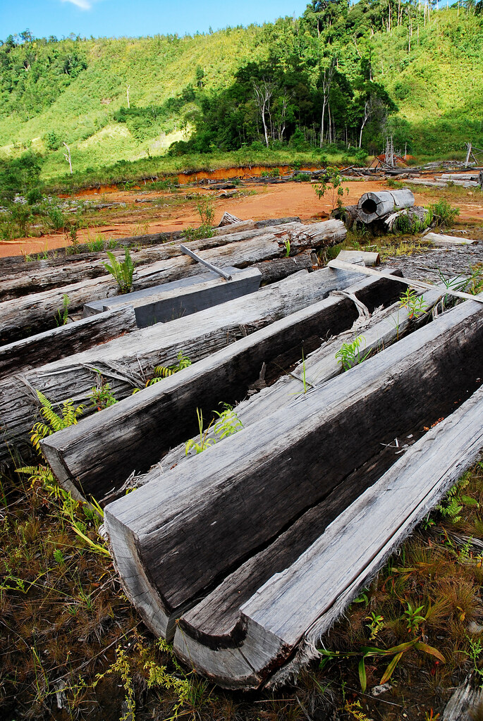 Old log at a ex-sawmill in Kalimantan, Indonesia.