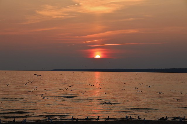 SUNSET AT SYLVAN BEACH