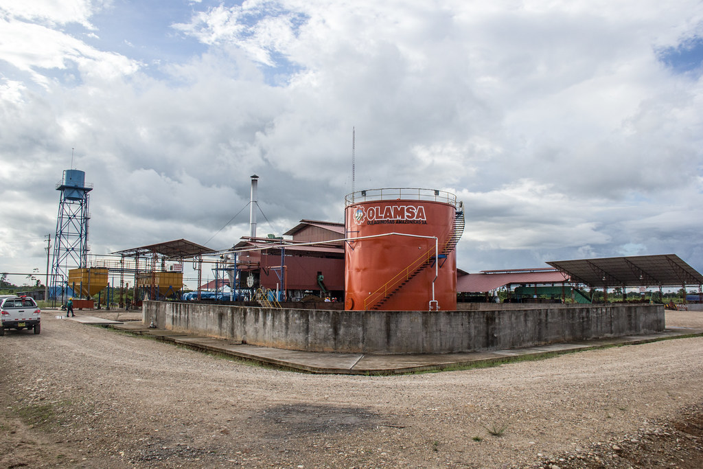 View of the oil palm tank, OLAMSA plant in Peru.