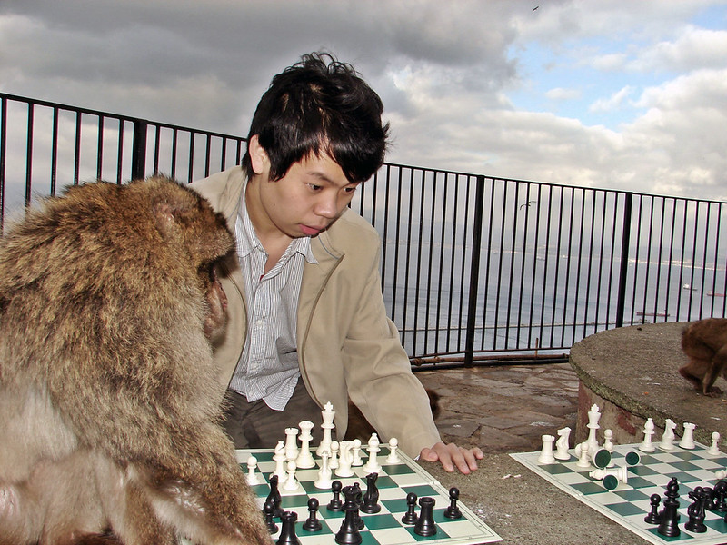 D2 (173)