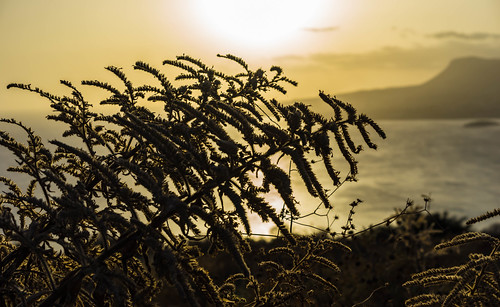 crete dawn landscape golden sunrise silhouette