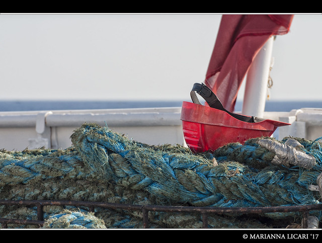 I lavoratori del mare / The workers of the sea #1