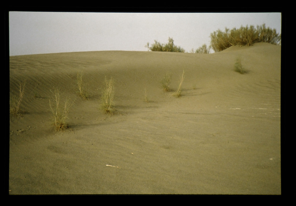 Reclamation And Greening Of Desertification Land 砂漠化した土地 Flickr