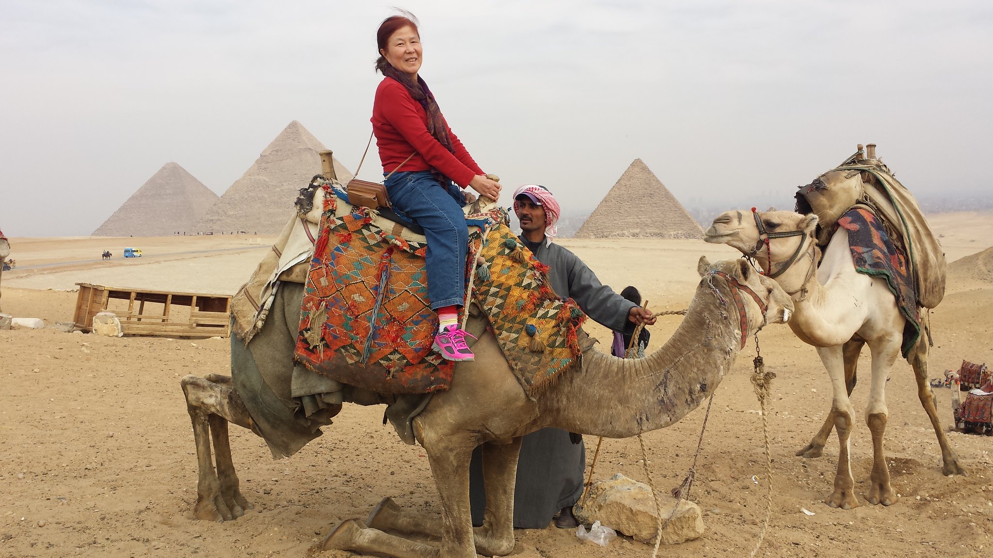 Ai Cập - camel ride Egypt