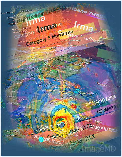 Irma Collage